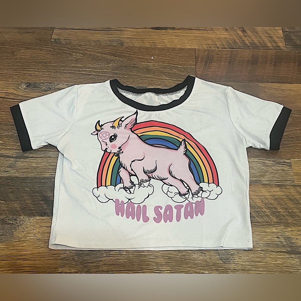 Cute Hail Satan Crop Top Size S